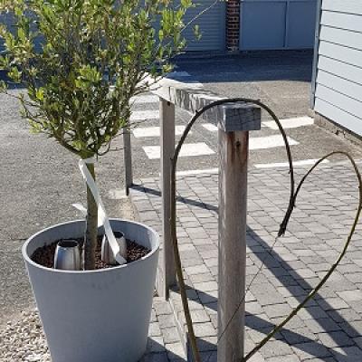 Cœur en bois